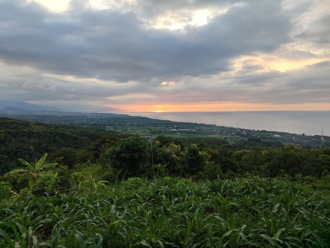 Prime Investment Opportunity: Large Tract of Land for Sale in Lovina, Bali