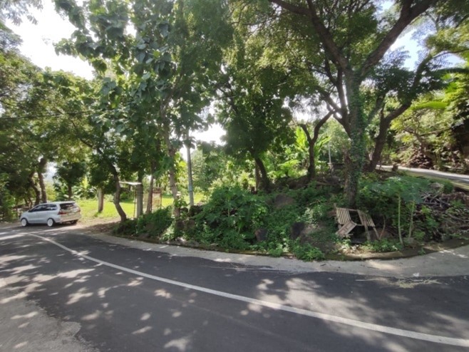 Rare Opportunity: Expansive Land Parcel for Sale in Lovina, Bali