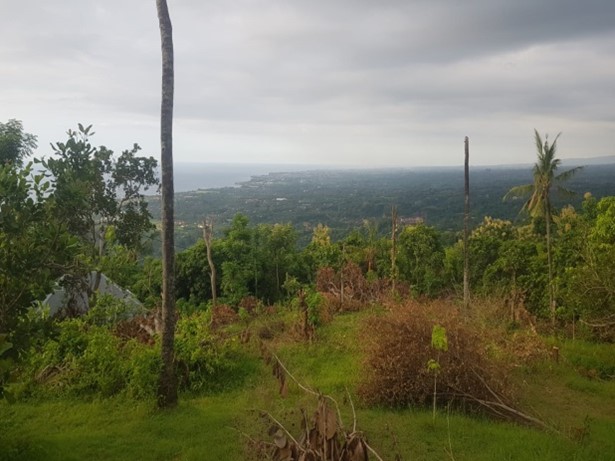 Land for sale in Lovina, Bali