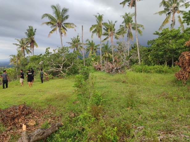 Land for sale in Lovina, Bali